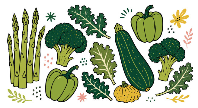 Healthy food vegetables icons set. Fresh produce icon. Asparagus, broccoli, bell pepper, zucchini, kale, pumpkin. Hand-drawn doodle style