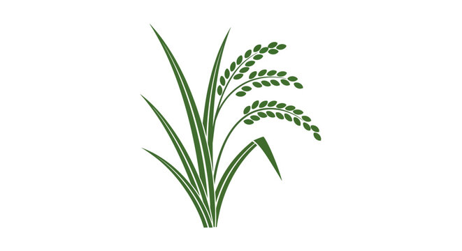 Minimalist Green Rice Plant Graphic on White Background: Food and Agricultural Concept