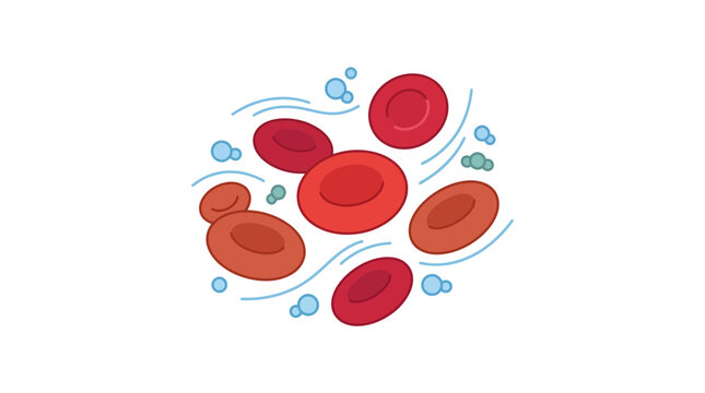 Red Blood Cells Illustration