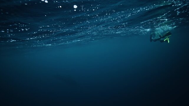 Freediver swimming through Arctic Norway fjord beneath rippling ocean surface with pilot whale in the depths