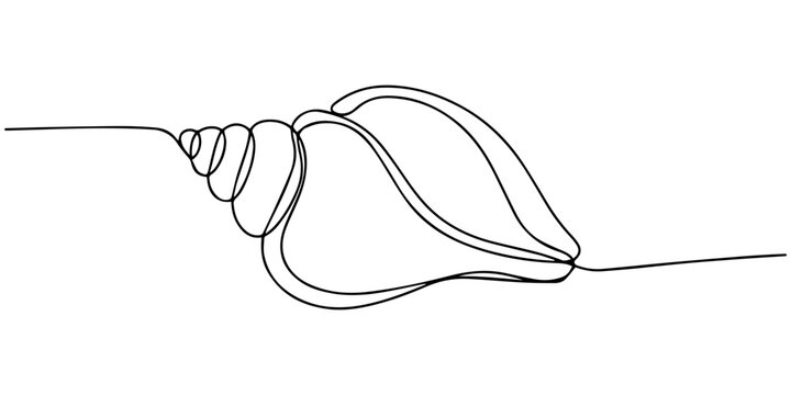 Minimalist one line drawing of a spiral sea shell, Continuous line art of a seashell, one line drawing featuring a minimalist linear silhouette of a shell with a smooth flowing line, clean contour