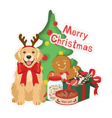 Fototapeta premium Cute golden retriever dog celebrating Christmas with presents, gingerbread man, and treats, festive holiday vector illustration on a transparent background.