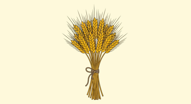Illustration of a sheaf of wheat tied with a ribbon on a light yellow background