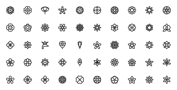Flowers icon set. Minimalist floral vector icons pack. Includes symbols for peonie, carnation, strelitzia, sunflower, orchid, tulip, lily, hydrangea, chrysanthemum, lotus and more. Editable vector str
