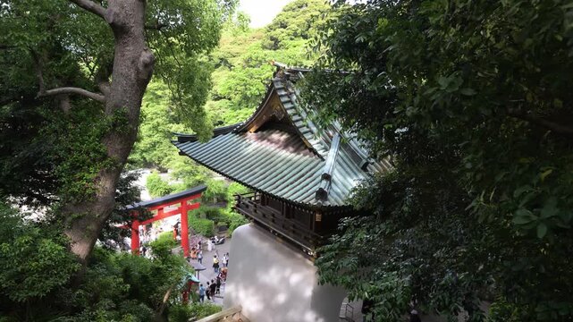 Giappone 