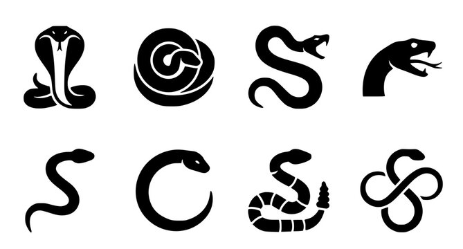 Snake and Serpent Black Silhouette Icon Set with Cobra Rattlesnake and Predator Symbols for Tattoos Logos Mascot Designs and Graphic Illustrations