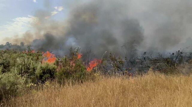 Contrafuegos para apagar incendios 