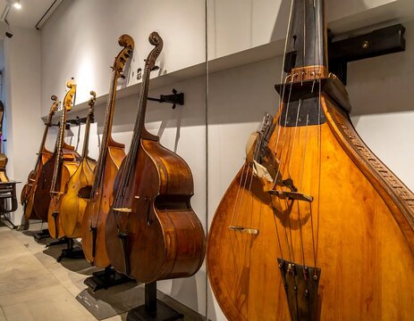 A row of traditional stringed instruments on display