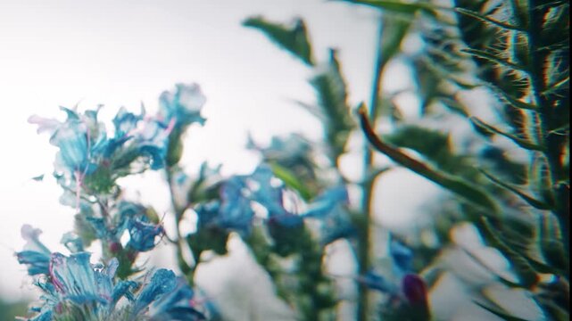 Insect Pollinating Flowers In A Lush Outdoor Setting