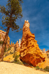 Naklejka premium Bryce canyon national park hoodoos forming unique geological formations