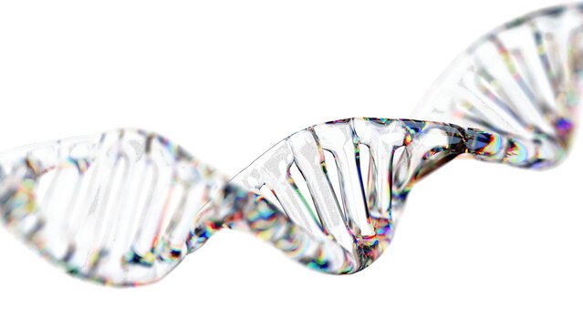 Transparent 3D DNA double helix molecule with glass material and iridescent rainbow refraction, PNG isolated object for biotechnology design.