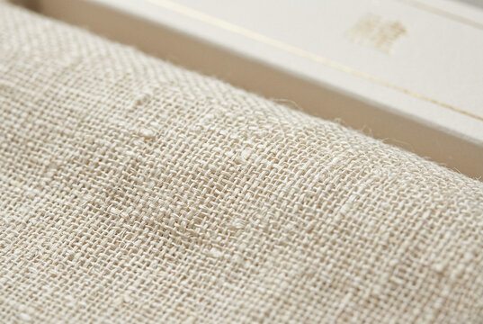 Generative AI Premium traditional Korean ramie mosi fabric texture background