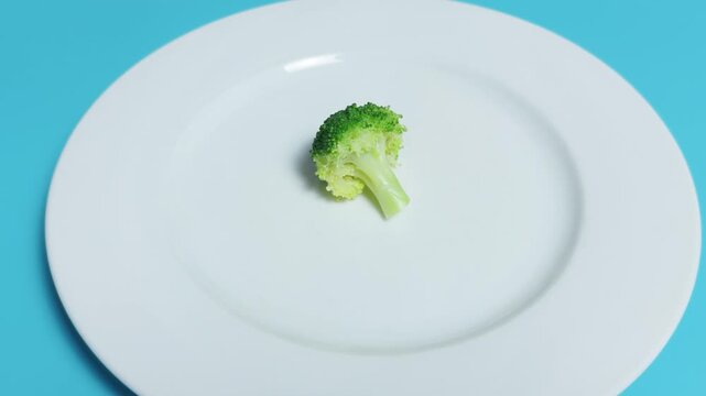 Small broccoli floret centrally positioned on an oversized white plate. Creating a visual metaphor for tiny portions. Dieting. Hunger. Restrictive eating habits. And the challenge of healthy nutrition