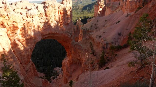 Stunning orange sandstone formations of the natural bridge arching over a green pine forest in bryce canyon national park, utah, a popular travel destination for hiking and outdoor adventure