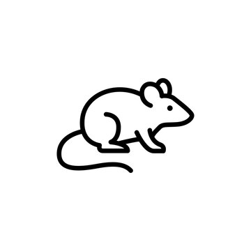 Icon showing a deer mouse, known carrier of hantavirus in various regions.