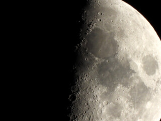 Luna © Steve Fossiant