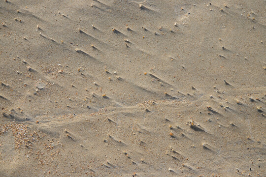 A natural sandy background with soft wavy patterns created by the wind on the surface of the beach. Minimalist natural texture in warm beige shades for design, backgrounds and photo stocks. High