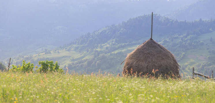 Carpathian mountains summer landscape with a wild-grass-green hill and a haystack on it.