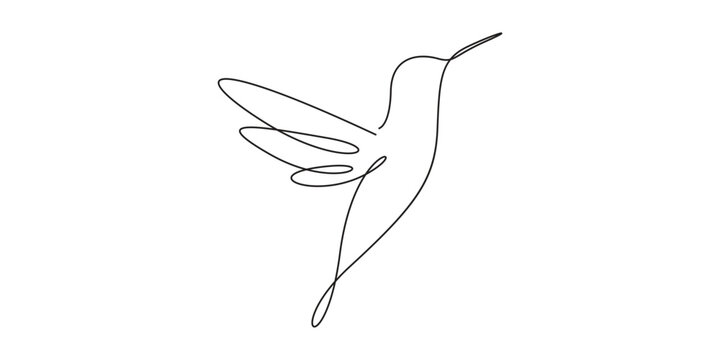 Hummingbird continuous line drawing minimalist vector icon for elegant nature branding. Minimalist continuous line art vector of a flying hummingbird for luxury cosmetic design.