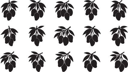 Fototapeta premium Black silhouette of a tropical mango fruit branch with leaves.