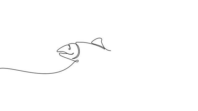 Continuous One Line Salmon Fish Marine Wildlife Minimal Animation