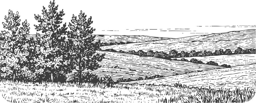 black and white engraving of rural fields with trees and rolling hills landscape