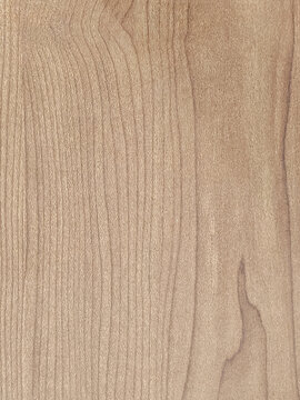 High-resolution full-frame background texture of a natural light brown wood panel featuring a detailed and elegant wavy grain pattern