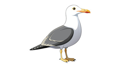 Obraz premium seagull bird clipart vector illustration