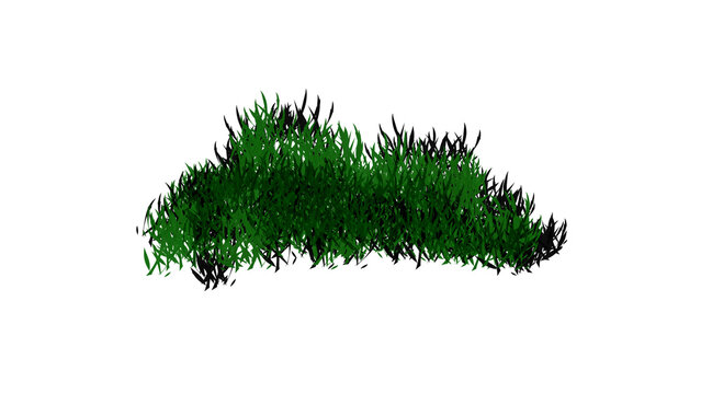 Green grass texture with dark green blades