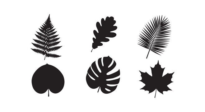 Collection of various botanical plant leaves silhouettes depicting natural foliage patterns for eco themed design.