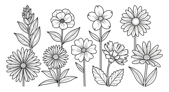 Botanical Flower Line Art Collection. Hand-Drawn Floral Elements Set for Nature Designs, Black and White Outline Illustrations.