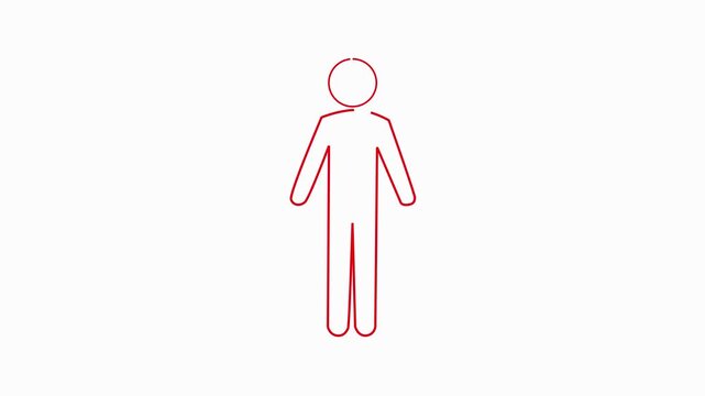 Illustration of a male symbol with a red outline. Animation of a female icon in a looping motion graphic. 4K video. Green screen background.