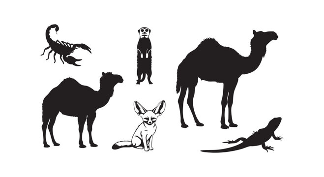 Desert animals silhouette bundle including camels scorpions fennec fox meerkat and lizard in black and white for wildlife theme vector illustration.