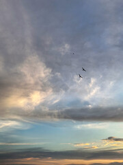Obraz premium Birds Flying Through Dramatic Evening Cloudscape