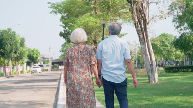 Everlasting bond: A couple of senior citizens strolling through a park, hand-in-hand, symbolizing their enduring connection. Capturing moments of peace.