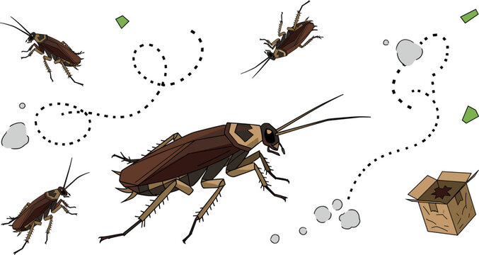 Cockroach Infestation Vector Illustration Featuring Crawling Pest Insects, Movement Trails, and Cardboard Box Elements for Hygiene, Extermination, and Warning Design Projects