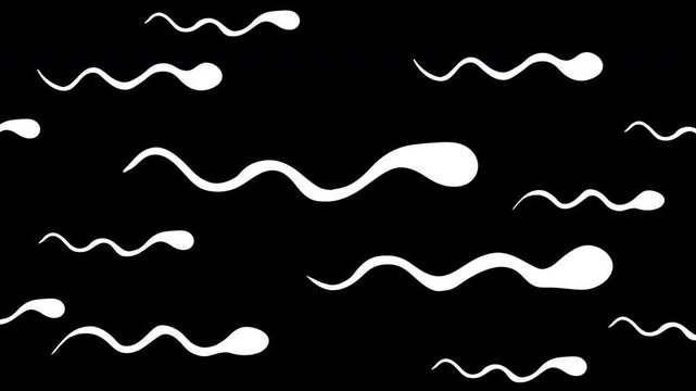 2d animation of numerous human spermatozoa swimming in one directions against black background. Concept of high sperm count, fertility test, biology and ovulation.