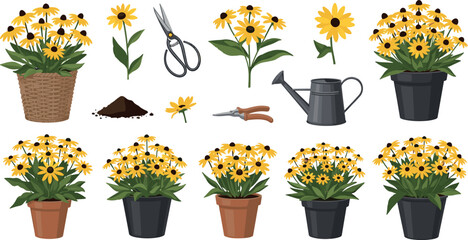 Potted Black Eyed Susan Flower Vector Set with Gardening Tools Watering Can Pruning Shears and Soil Soil For Horticulture Graphic Designs © EdGe Creative