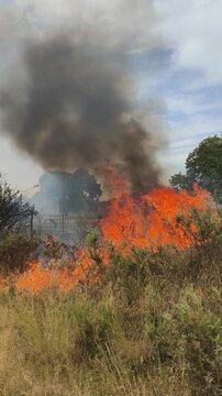 Fuego fuera de control en &aacute;rea forestal