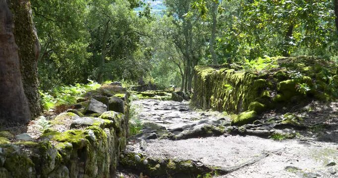 Part of the historic Cit&acirc;nia de Briteiros, a fortified settlement from the Iron Age in Portugal.