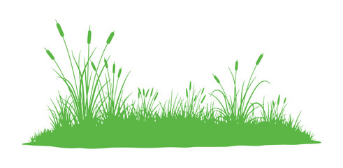 Fototapeta premium Meadow grass silhouette set with dry and fresh plant textures.