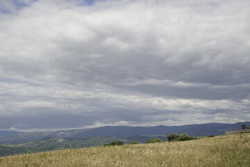 Fototapeta premium The image depicts rolling or mountainous landscapes under a densely overcast sky, a rural scene of Andalusia. In the foreground are dry, yellowish-green agricultural fields or meadows, suggesting the 