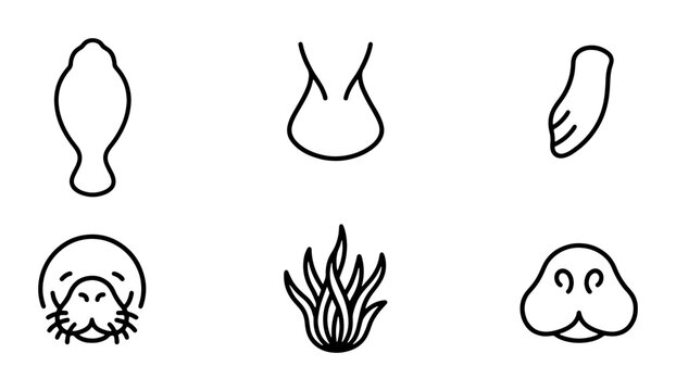 Minimalist Sea Mammal Icons: Manatee, Seal, Walrus, Aquatic Plant, Vector Graphics