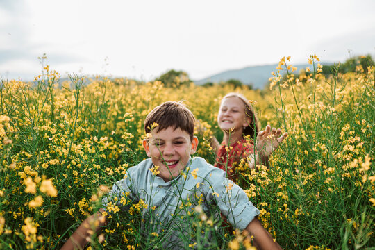Siblings running through blooming field and enjoying carefree childhood.