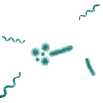 Translucent teal bacterial cells including cocci and bacilli with intricate membrane textures floating in a transparent void with soft shadows, pervasive infection