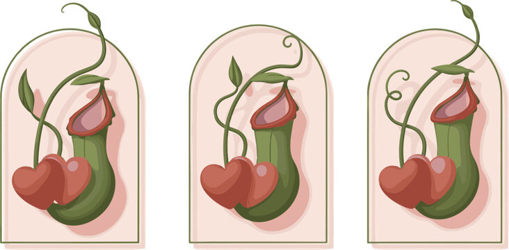 Minimalist Tropical Pitcher Plant Icon Set with Arched Arcs Frame Heart Shaped Nepenthes Leaves Boho Floral Elements Vector Illustration
