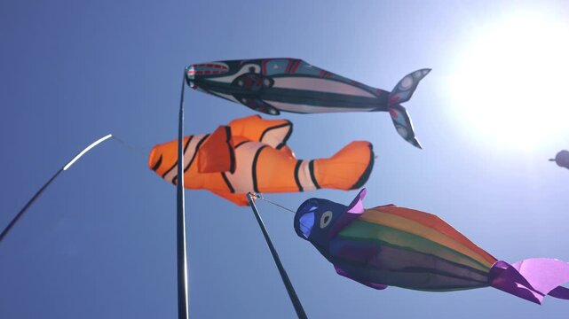 Various Fish Windsocks With Bright Sunlight.