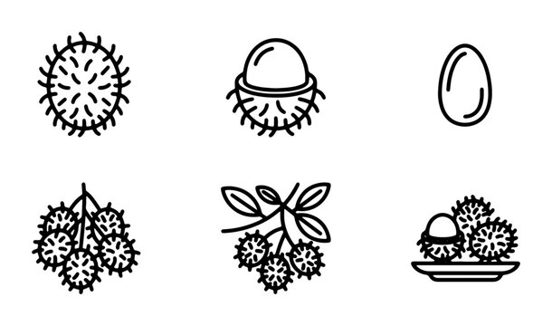 Rambutan Fruit Icons, Tropical Exotic Food Vector Set, Fresh Produce Line Art