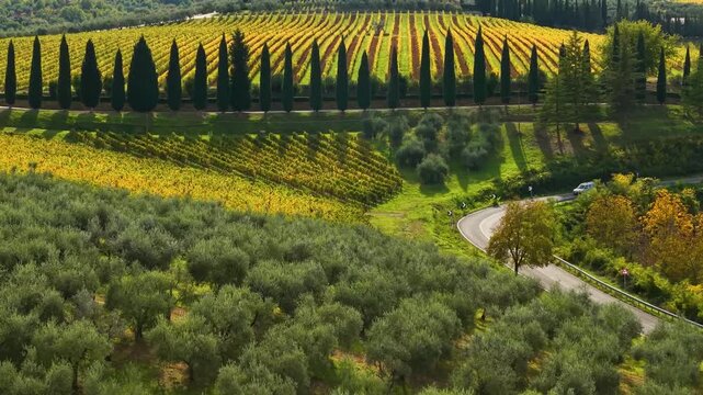 Chianti Italy 4k drone footage of Castello di Gabbiano wine estate Tuscany. Cinematic 70mm medium tele shot of luxury podere villa with cypress road golden fields for viticulture tourism travel vlog
