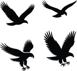 Fototapeta premium Flying eagle silhouette collection with soaring and landing poses isolated black wildlife bird vector illustration set